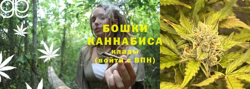 Шишки марихуана OG Kush  где найти   Ухта 